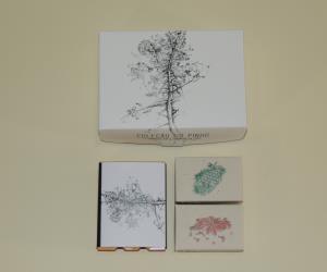 Conjunto "Saboneteira e 4 sabonetes"