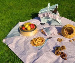 Conjunto PIC-NIC