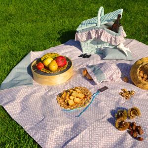 Conjunto PIC-NIC