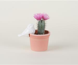 Vaso com Passarinho - Coral