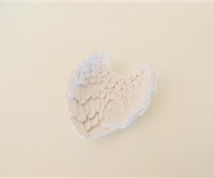 Asas Anjinho - Gesso Aromático 