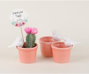 Vasinho com Passarinho