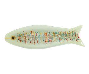 Travessa - Sardinha Branca