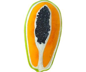 Fruteira L - Vidro Artístico