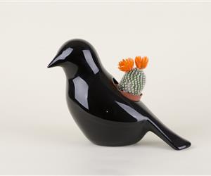 Pássaro Vaso - Vidrado Preto