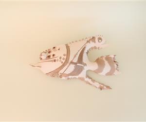 Peixe - Barro vermelho/Branco claro - M